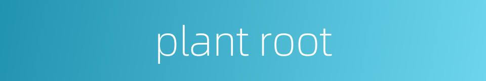 plant root的同义词