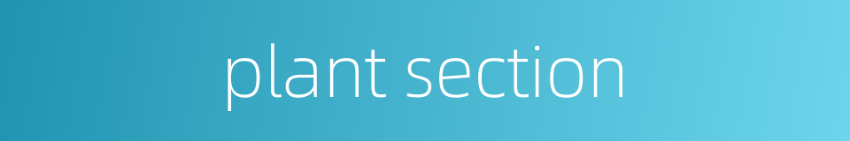 plant section的同义词