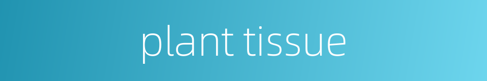 plant tissue的同义词