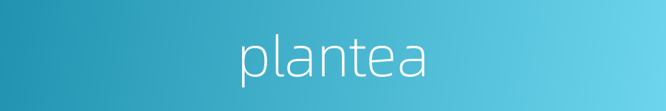 plantea的同义词