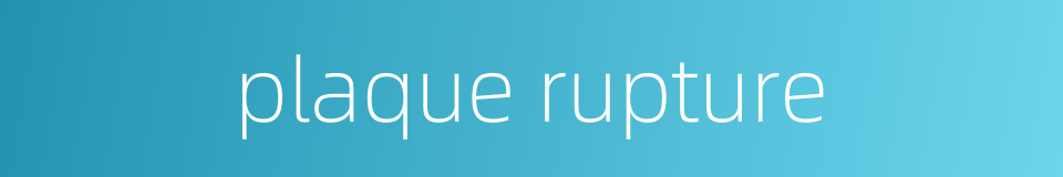 plaque rupture的同义词