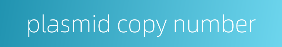 plasmid copy number的同义词