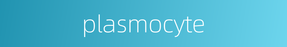 plasmocyte的同义词