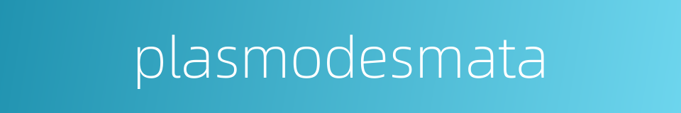 plasmodesmata的同义词