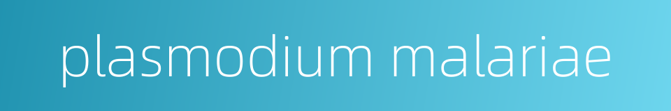 plasmodium malariae的同义词
