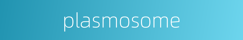 plasmosome的同义词