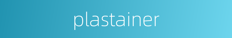 plastainer的同义词