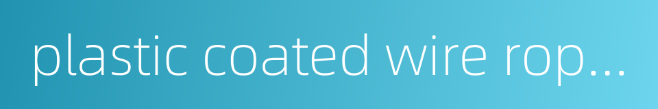 plastic coated wire ropes的同义词