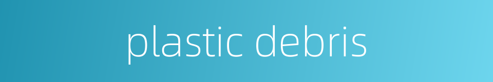 plastic debris的同义词