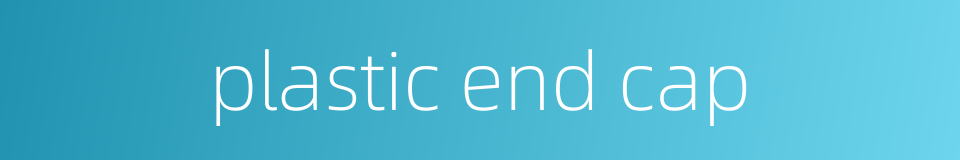 plastic end cap的同义词