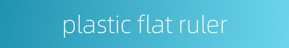 plastic flat ruler的同义词