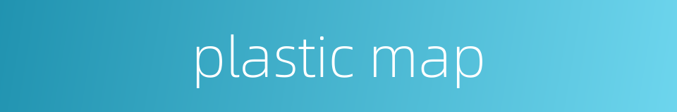 plastic map的同义词