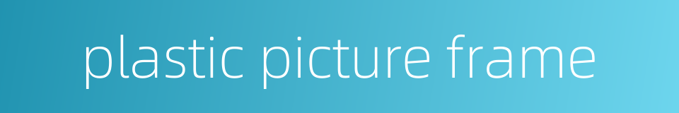 plastic picture frame的同义词