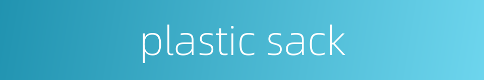 plastic sack的同义词