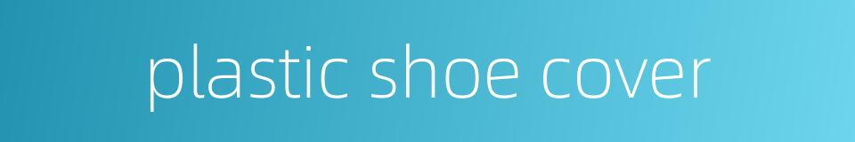 plastic shoe cover的同义词