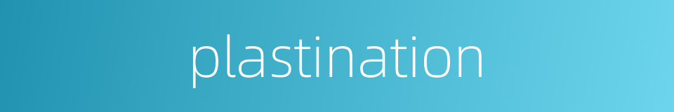 plastination的同义词