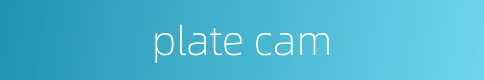 plate cam的同义词