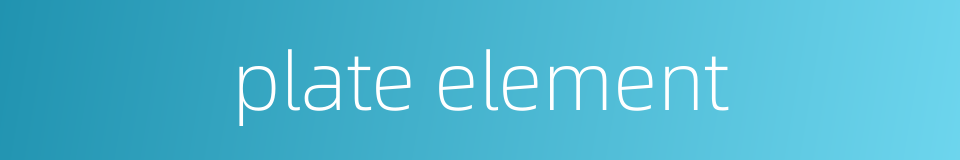 plate element的同义词