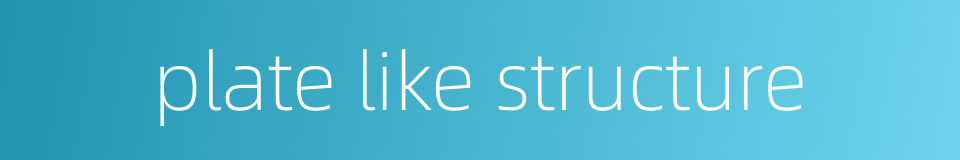 plate like structure的同义词