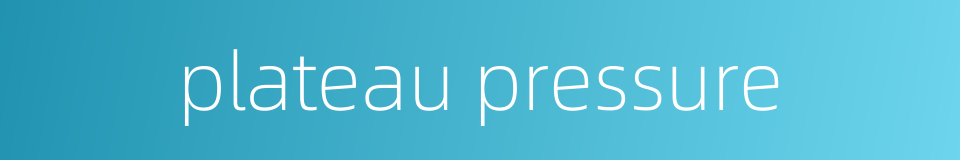 plateau pressure的同义词