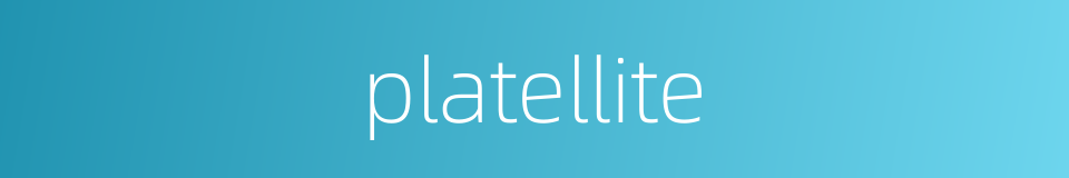 platellite的同义词