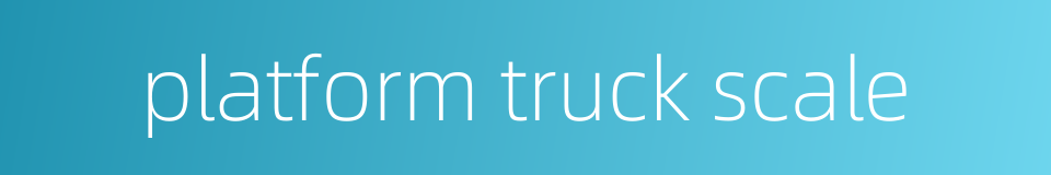 platform truck scale的同义词