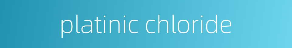 platinic chloride的同义词