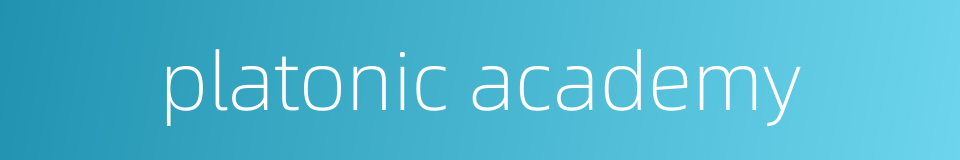 platonic academy的同义词