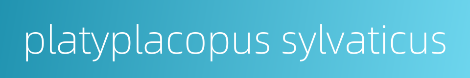 platyplacopus sylvaticus的同义词