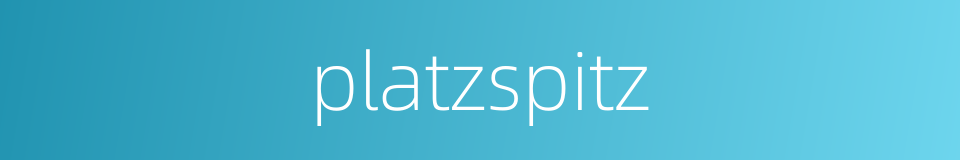 platzspitz的同义词