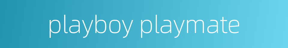 playboy playmate的同义词