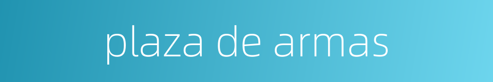 plaza de armas的同义词
