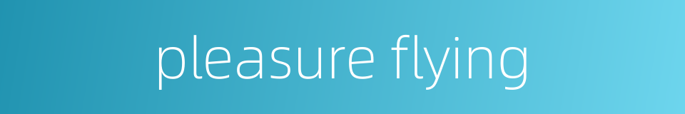 pleasure flying的同义词