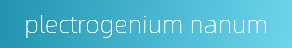 plectrogenium nanum的同义词