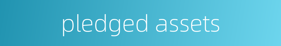 pledged assets的同义词