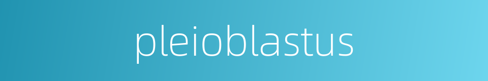 pleioblastus的同义词