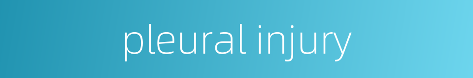 pleural injury的同义词