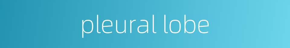 pleural lobe的同义词