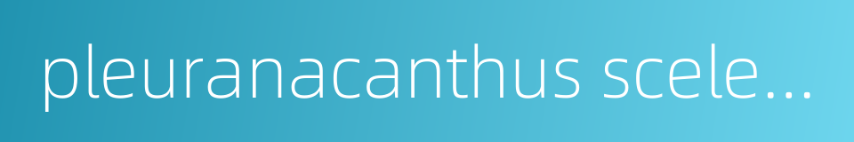 pleuranacanthus sceleratus的同义词