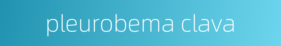 pleurobema clava的同义词