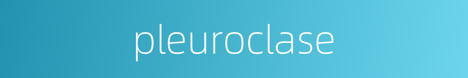 pleuroclase的同义词