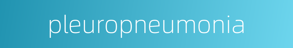 pleuropneumonia的同义词