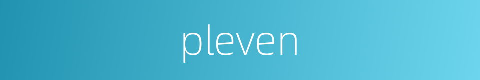pleven的同义词