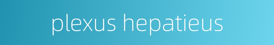plexus hepatieus的同义词