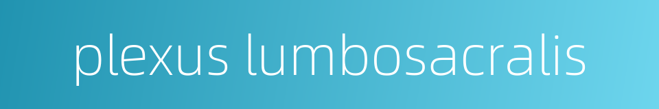 plexus lumbosacralis的同义词
