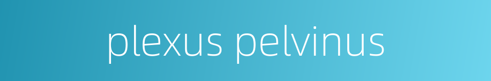 plexus pelvinus的同义词