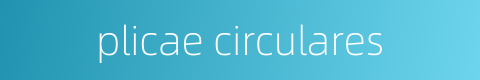 plicae circulares的同义词