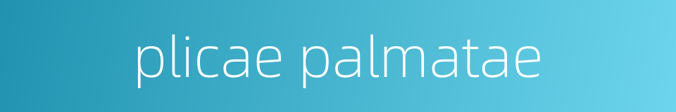 plicae palmatae的同义词