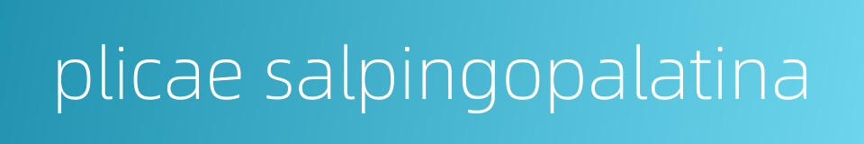 plicae salpingopalatina的同义词