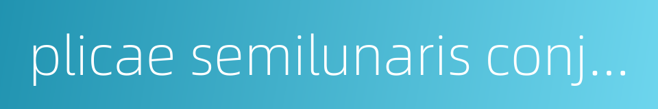 plicae semilunaris conjunctivae的同义词